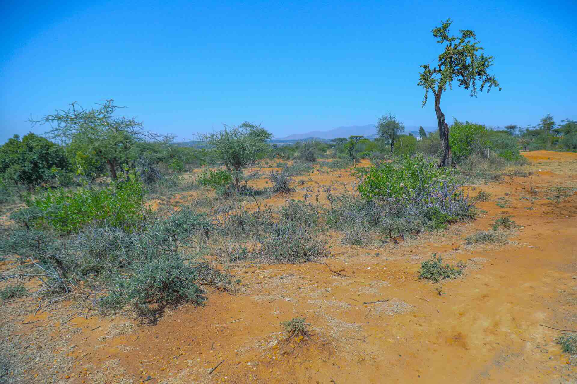 Bodendegradation Konso